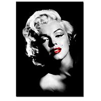 TEMPO KONDELA Obraz, s motívom Marilyn Monroe, 50x70 cm, T044