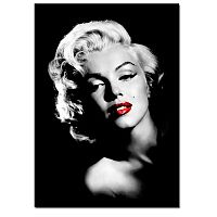 TEMPO KONDELA Obraz, s motívom Marilyn Monroe, 70x100 cm, T044